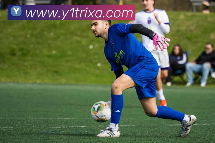 Y1体育官网APP 高清赛事图